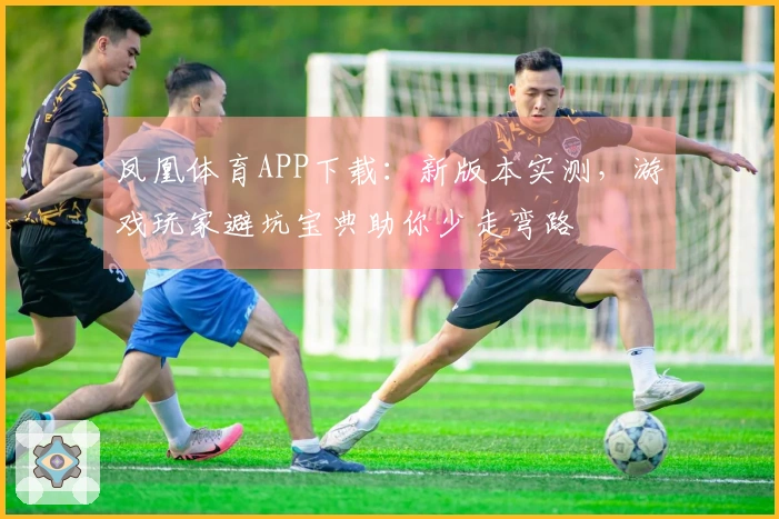凤凰体育APP下载：新版本实测，游戏玩家避坑宝典助你少走弯路