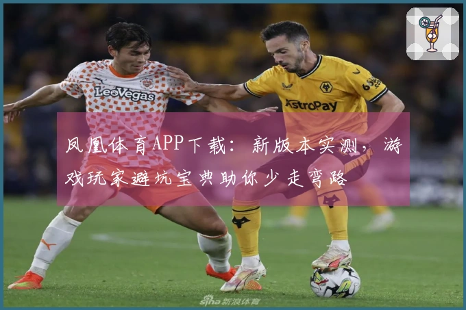 凤凰体育APP下载：新版本实测，游戏玩家避坑宝典助你少走弯路