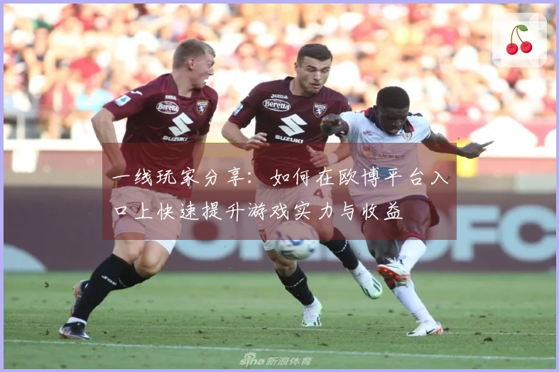 一线玩家分享：如何在欧博平台入口上快速提升游戏实力与收益