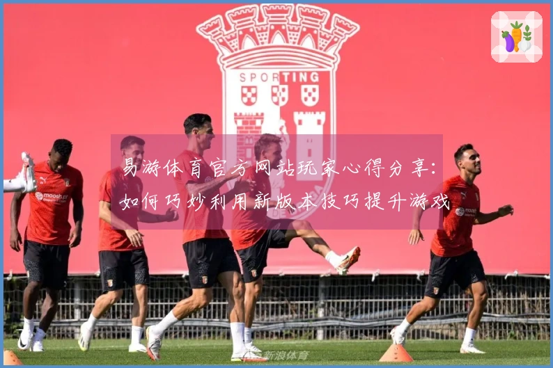 易游体育官方网站玩家心得分享：如何巧妙利用新版本技巧提升游戏体验与获胜率