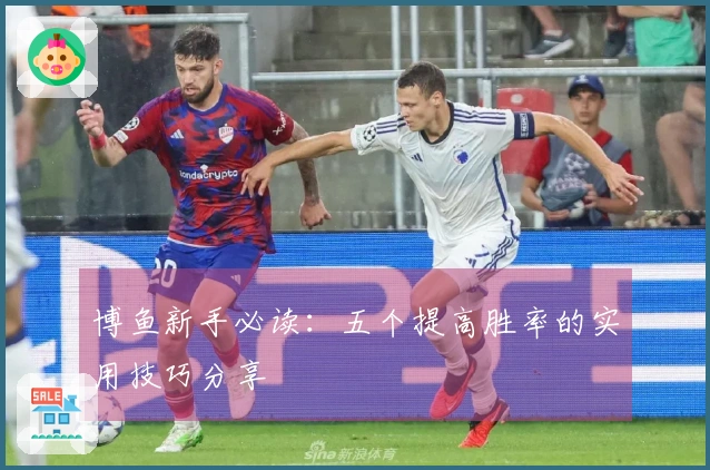 博鱼新手必读：五个提高胜率的实用技巧分享