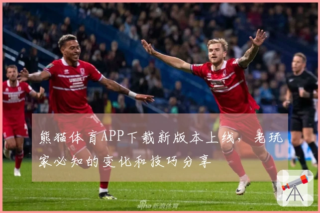 熊猫体育APP下载新版本上线，老玩家必知的变化和技巧分享